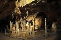 /album/galerie-foto/images-16-jpg1/